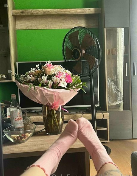 Lit1le Kitty_ free only fans