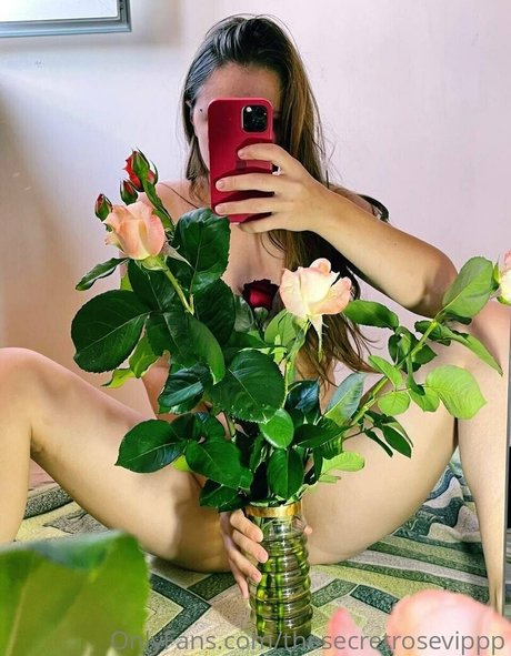 thesecretrosevippp onlyfans boobs