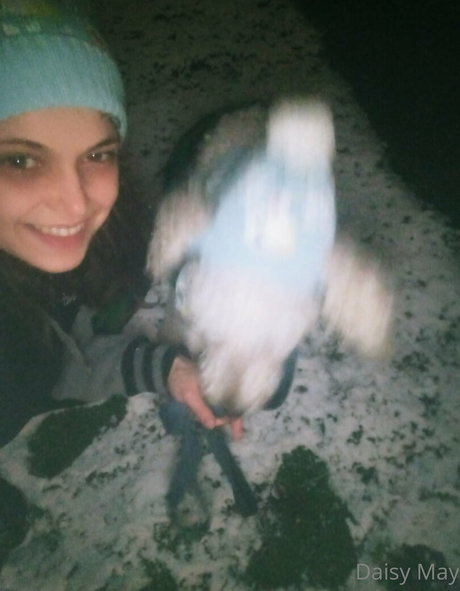 doitwithdaisy onlyfans leaked.