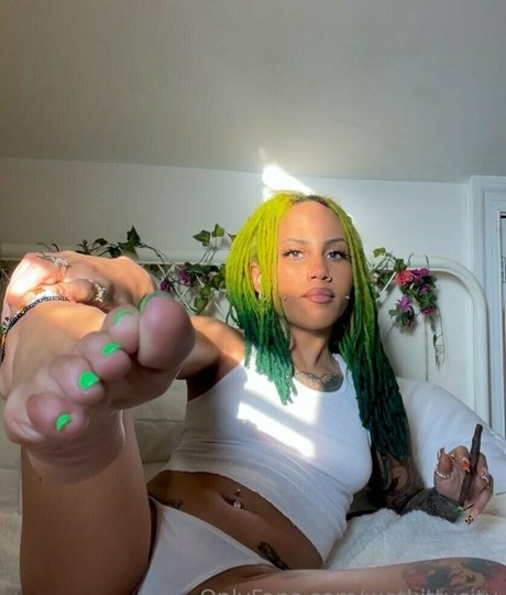 wetkittycity onlyfans sex