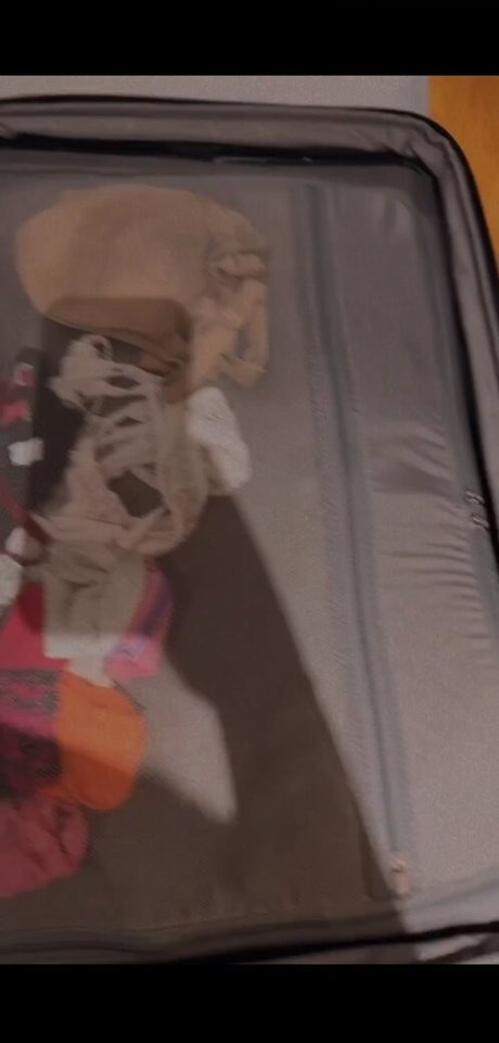 Natacha Fanganiello onlyfans tits