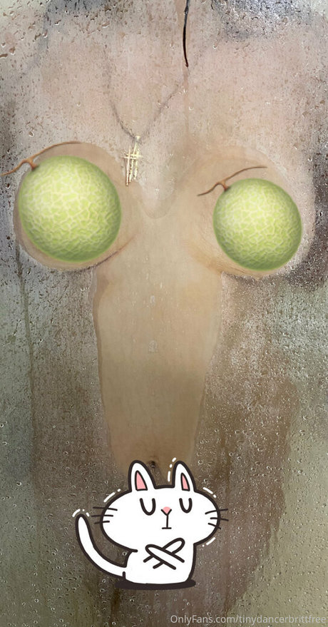 tinydancerbrittfree leak only fans