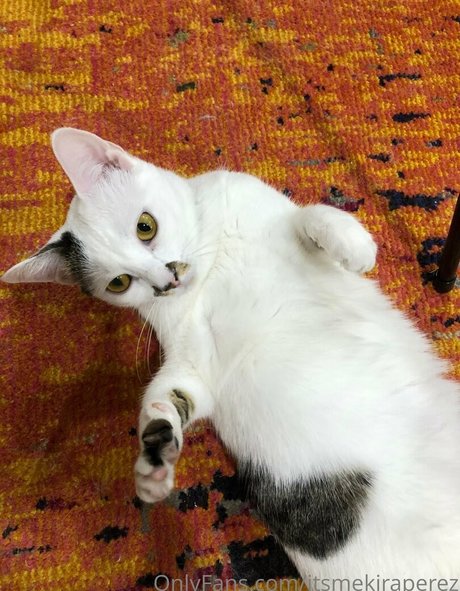 itsmekiraperez Profile pic