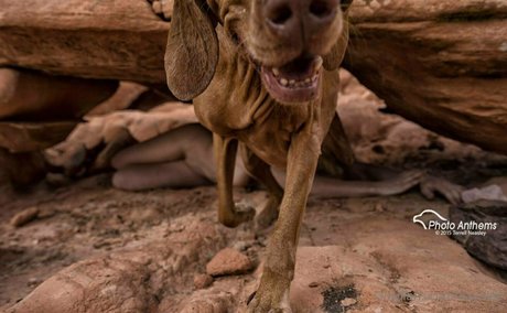 kaycilee nudes onlyfans leaked