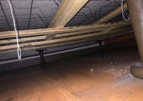 aliciaa starchild onlyfans hot