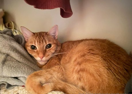 xxsacredhoneyxx onlyfans leaked xxx