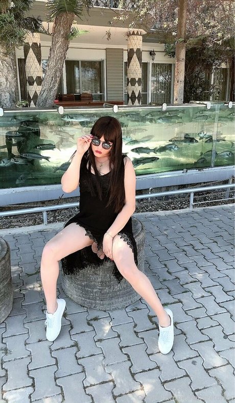 shemaleturkey onlyfans content type