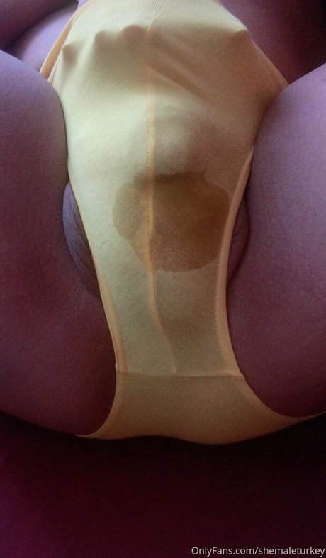shemaleturkey onlyfans leak xxx