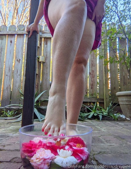 goddessaudreypine onlyfans tits