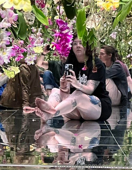 loritoes32 Profile pic