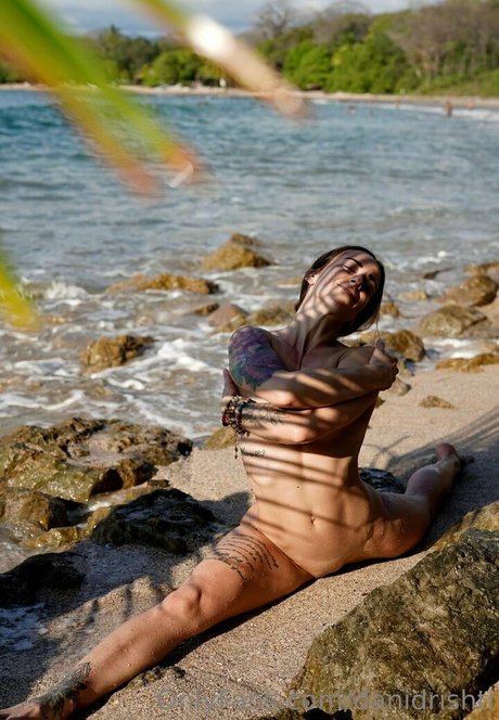 danidrishti Profile pic