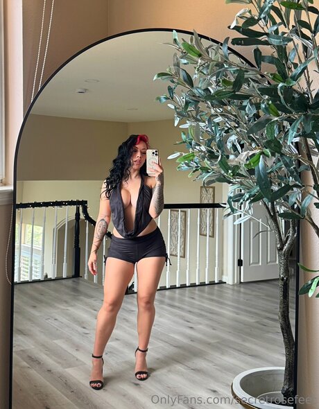 secretrosefeet onlyfans leaks nude