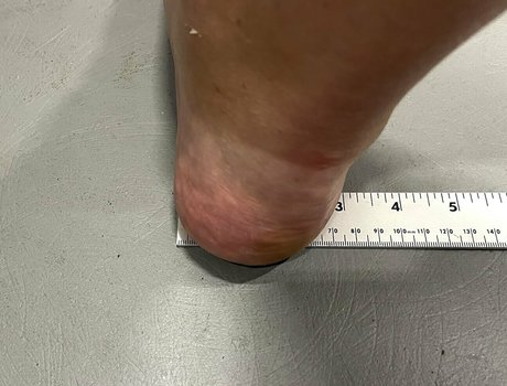 amazonlynn onlyfans porn