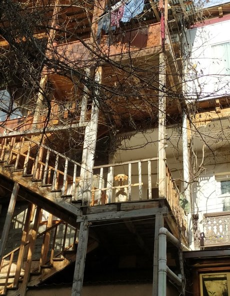 youreyeshere onlyfans tits