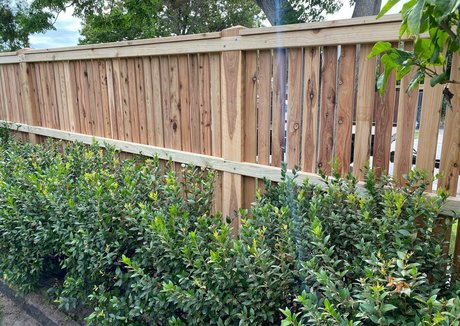 dvpgirlnextdoorxxx onlyfans model photos