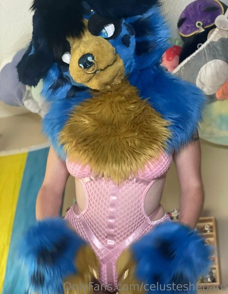 celusteshepard onlyfans joi