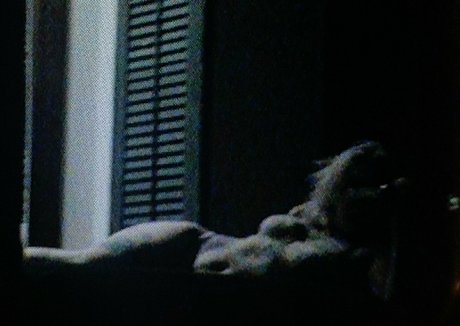 Velvetears onlyfans nude