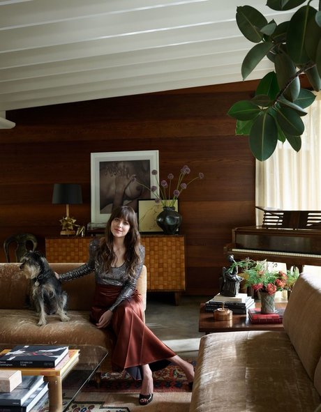 Dakota Johnson onlyfans naked