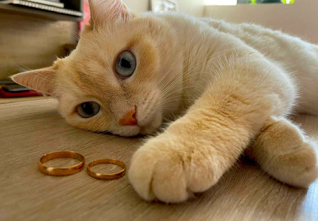 all of stacymoon onlyfans exposed