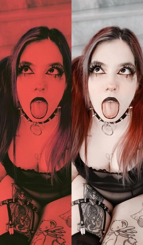 Megaptera Profile pic