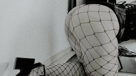 Megaptera onlyfans leaks.