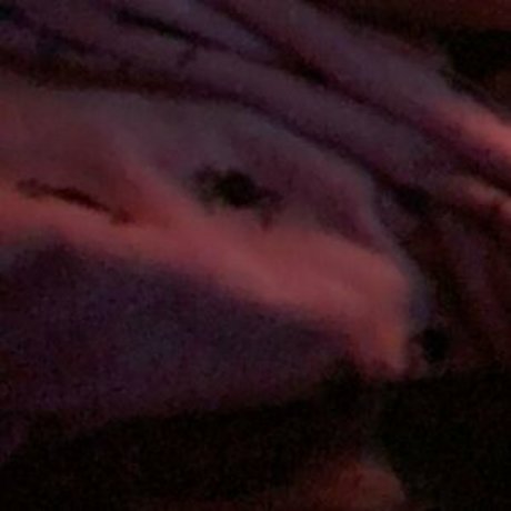 nofacej19 onlyfans leakd