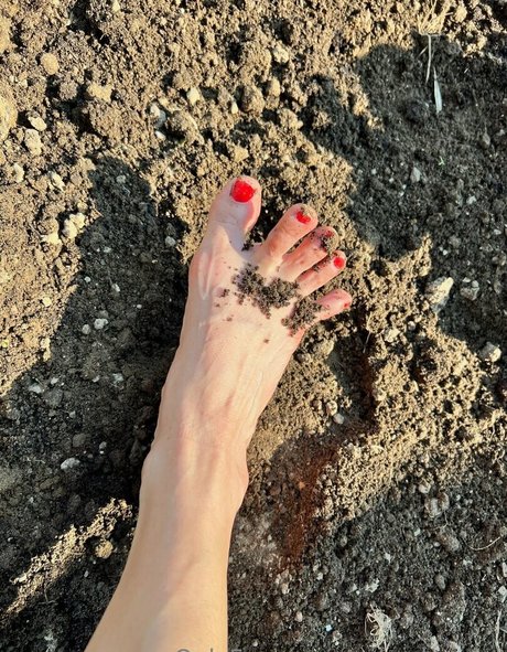 solesdreams onlyfans nide