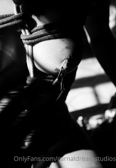 carnaldreamstudios leaked onlyfans nudes