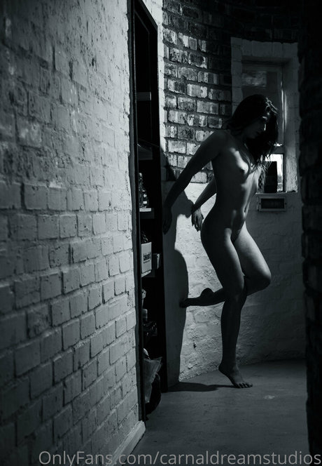 carnaldreamstudios onlyfans leaked pics