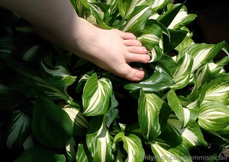 sammisinclair nudes onlyfans leak