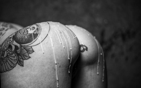 vexvoltage free only fans