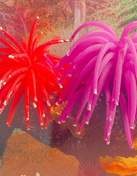 battybitxxfree leaks only fans