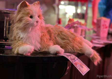 piperblushfree Profile pic