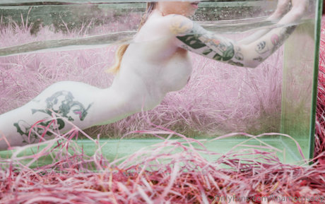 linamorrissey onlyfans nude leak