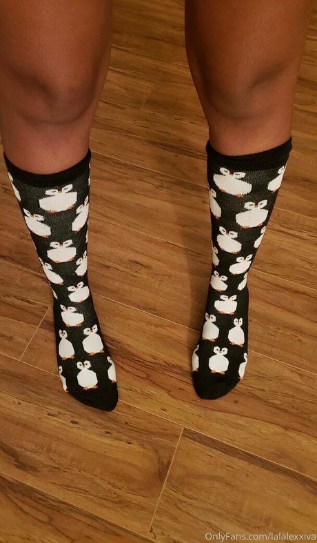 sexxyhorseclub ass onlyfans