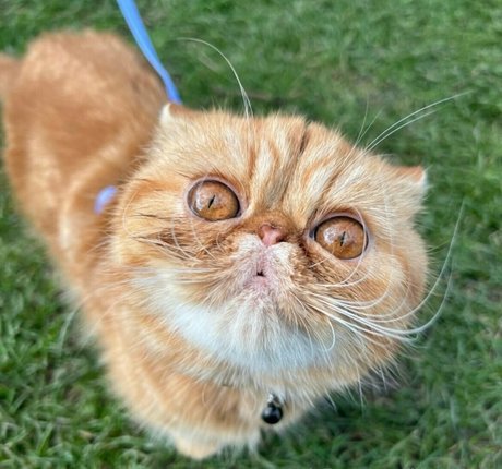 lilu666999 onlyfans leaked nudes