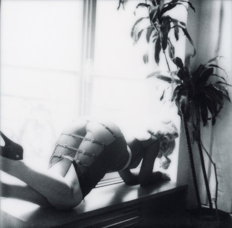 Shelbie Dimond onlyfans free porn