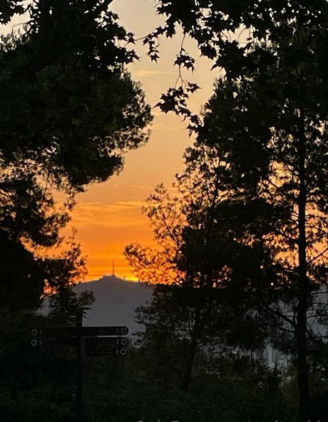 rocket bb onlyfans leaka