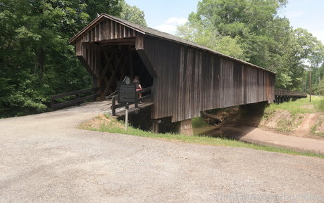 bee88i onlyfans nudes