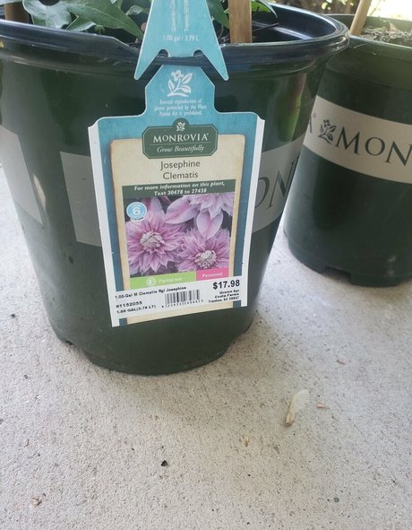 bee88i onlyfans leak free