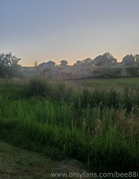 bee88i onlyfans pics