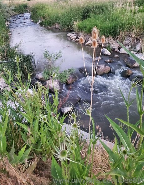 bee88i onlyfans leaked xxx