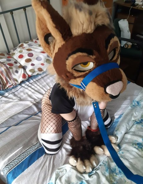 neflynxad onlyfans nudes leaked