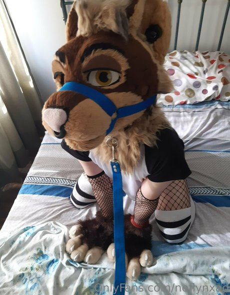 neflynxad onlyfans leak xxx