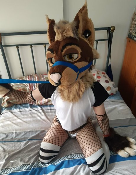 neflynxad only fans sex