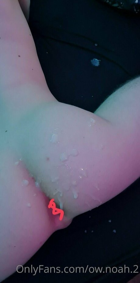 ow noah 2 onlyfans model