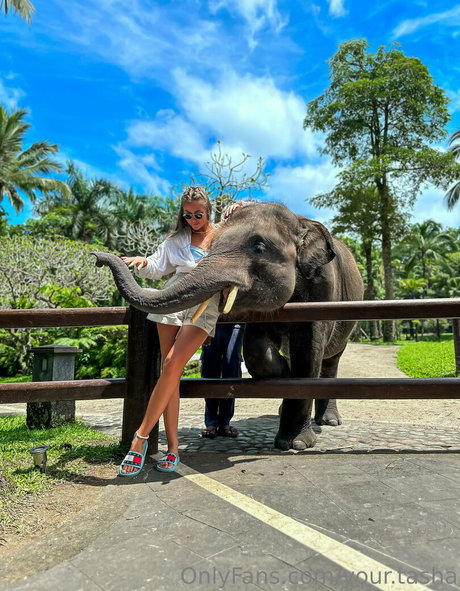 your tasha naked onlyfans leak