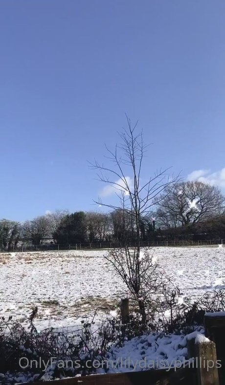 lilydaisyphillips free onlyfans