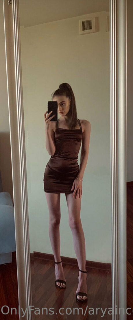 aryaincollege Profile pic