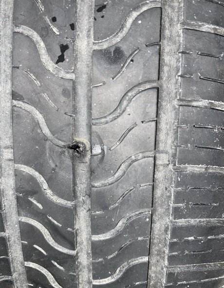 model misskittee92 leaks only fans